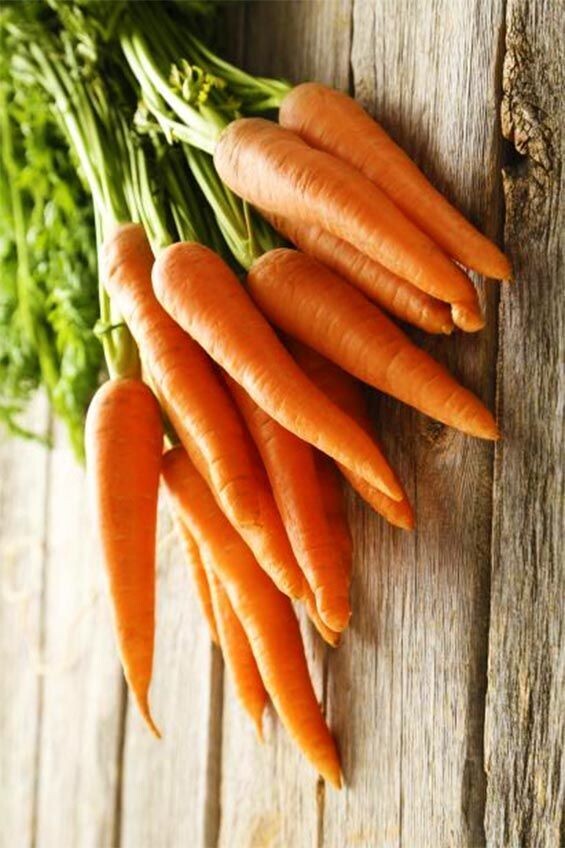 Carrot Seeds - All Seasons (Daucus carota)